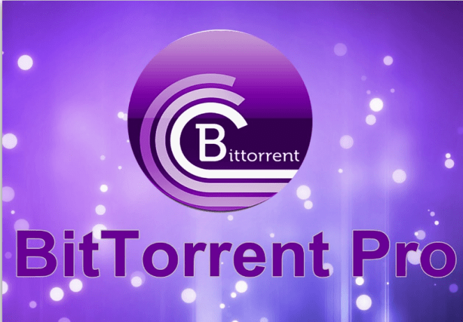 torrent pragmata pro
